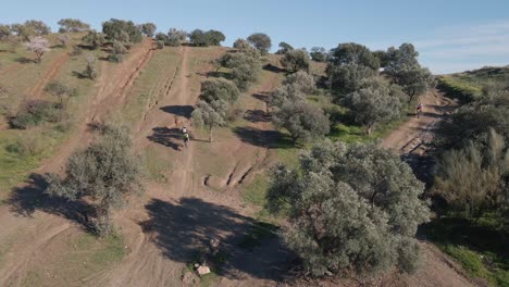 Wide-aerial-shot-while-a-motocross-rider-performs-a-dangerous-stunt-over-a-hill-on-a-dusty-motocross-track-surrounded-by-trees-in-Malaga-Spain