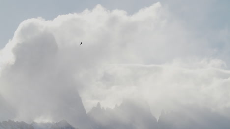 Adler-Fliegt-Vor-Wolkenverhangenen-Bergen