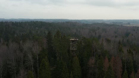 Panoramic-aerial-drone-video,-rotating-to-left,-of-a-wooden-sightseeing-tower-in-the-middle-of-a-dense-mixed-tree-forest