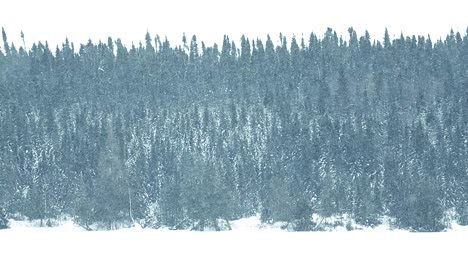Una-Tormenta-De-Nieve-En-El-Norte-De-Canadá