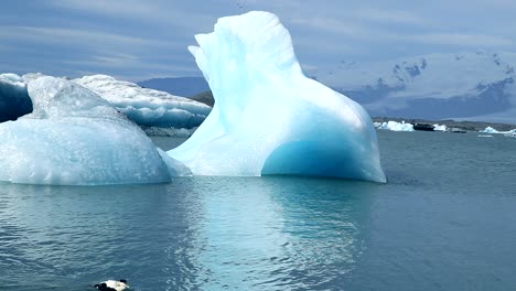 Un-Pequeño-Pato-Pasa-Frente-A-Un-Enorme-Iceberg