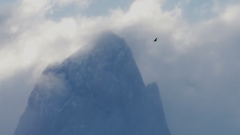 A-bird-flying-over-a-mountain-shrouded-by-clouds
