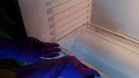 Hands-with-purple-rubber-gloves-put-glass-boards-into-an-empty-fridge