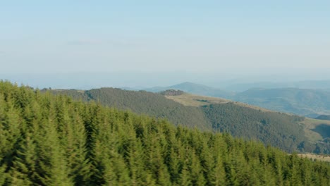Erstaunliche-Schönheit-Grüner-Hügel-Mit-Immergrünem-Wald-Auf-Dem-Berg-Golija,-Serbien