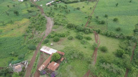 Medieval-Town-Surrounded-By-Green-Farmland-At-Loitokitok,-Amboseli-In-South-Kenya,---Aerial-Drone-Shot