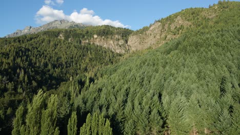 Aerial-dolly-in-over-a-pine-tree-forest-with-Corbata-Blanca-waterfall-between-mountains-in-background,-Patagonia-Argentina