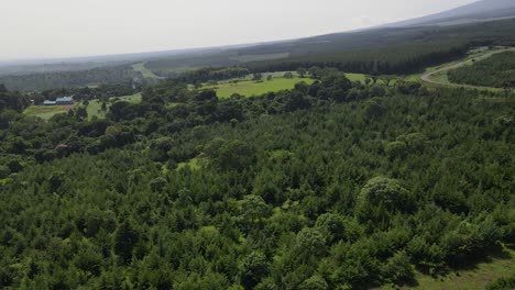 Aerial-View-Of-Countryside-Landscape-With-Lush-Green-Vegetation-In-Kenya---aerial-drone-shot