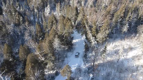 nature,-aerial-view-of-a-forest-during-winter,-threes-covered-in-snow