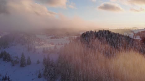 Rollende-Wolken-Im-Dichten-Fichtenwald-Am-Schneeweißen-Hang-Im-Winter-Bei-Sonnenuntergang