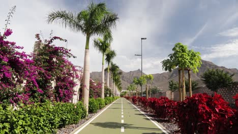 Beautiful-pathway-surrounded-by-palm-trees-and-flowers-at-Costa-Adeje,-Tenerife