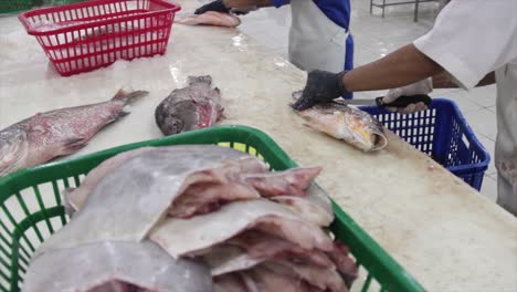 close-up-of-fresh-cut-sea-fish-meat