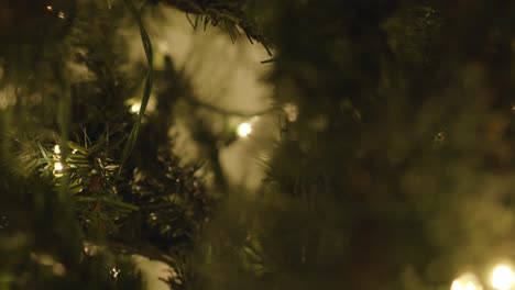 Till-the-season-for-up-close-Christmas-shots