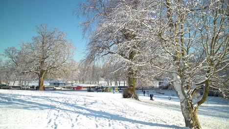 People-and-kids-enjoying-the-white-snow-while-on-the-branches-of-a-tree-the-snow-is-melting-due-to-the-sunlight-on-a-bright-day