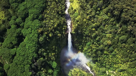 Aerial-view-of-waterfall-in-dense-forest,-Akaka-Falls,-Big-Island,-Hawaii