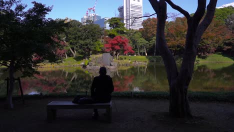 Schöner-Tag-Im-Japanischen-Landschaftsgarten-Während-Der-Herbstfarben-Mit-Männlicher-Silhouette