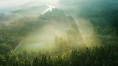 Dramatic-morning-sun-rays-over-misty-forest,-aerial-scenic-sunrise