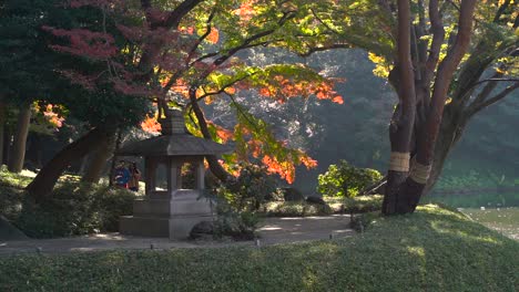 Reveal-of-beautiful-scenery-inside-Japanese-landscape-garden-in-fall