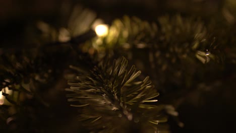 Real-fir-tree-close-up-with-fairy-lights-in-the-background