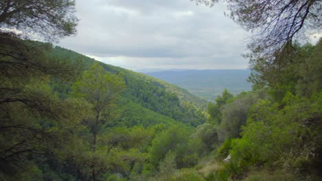 Hermoso-Paisaje-De-La-Naturaleza-Con-Bosques-De-Pinos-Y-Montañas