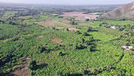 Aerial-view-of-vast-farm-lands-in-Neiba,-Dominican-Republic
