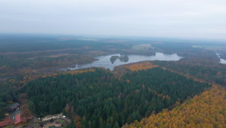 Aerial-View-Of-Verdant-Pine-Trees-And-Autumnal-Trees-In-Forest-Near-Thulsfelder-Stausee-In-Germany