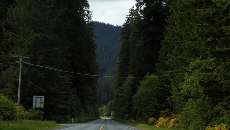 Tilting-up-shot-of-a-small-country-highway-surrounded-by-huge-green-pine-trees-and-mountains-in-the-middle-of-the-pacific-northwest-in-Washington-State,-USA-on-an-overcast-summer-day