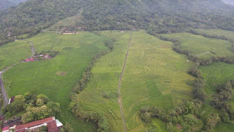 aerial-view-beautiful-terraced-rice-fields-in-the-Nanggulan-area,-Kulonprogo,-Yogyakarta