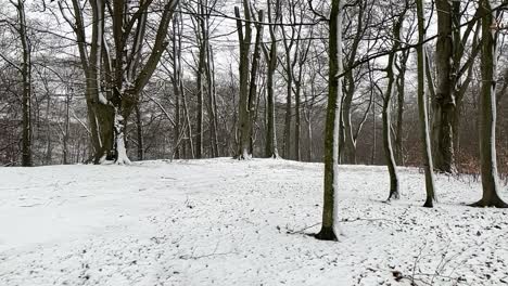 Nevando-Afuera-En-Un-Parque-Sueco