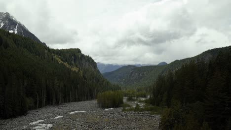 Tilting-up-shot-of-a-large-dried-up-riverbed-with-a-small-stream-surrounded-by-large-green-pine-trees-in-the-beautiful-Mt