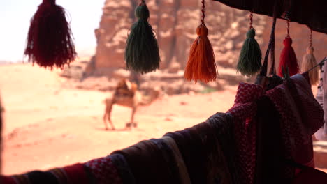 Petra-Archaeological-Site,-Jordan,-Souvenir-Shot-and-Camel-in-Desert-Landscape-on-Sunny-Day,-Close-Up-Detal