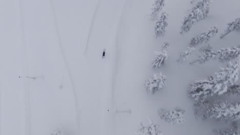 Person-skiing-down-icy-track-road-in-white-snowy-forestry-area,-top-down-view
