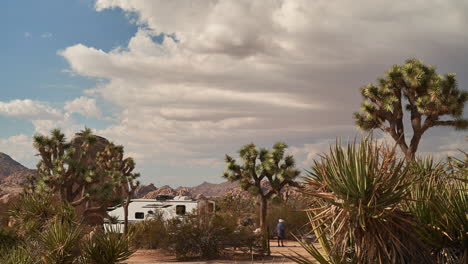 Magnificent-time-lapse-in-Joshua-Tree-desert-region