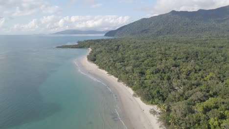 Seaside-Forest-With-Lush-Trees---Myall-Beach-At-Cape-Tribulation-In-Queensland,-Australia