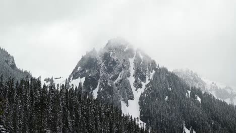 Stunning-tilting-up-shot-of-a-large-snowy-rugged-mountain-peak-with-a-large-pine-tree-forest-below-inside-of-the-Mt
