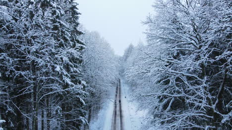 Menschen,-Die-Tagsüber-In-Deby,-Polen,-Auf-Einem-Von-Bäumen-Gesäumten,-Mit-Schnee-Beladenen-Feldweg-Spazieren-Gehen