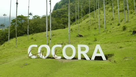 Cocora-Valley-Sign-Below-Wax-Palm-Trees-in-Salento,-Colombia