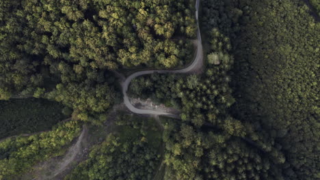 Static-overhead-aerial-of-winding-road-through-forest,-Czech-Republic