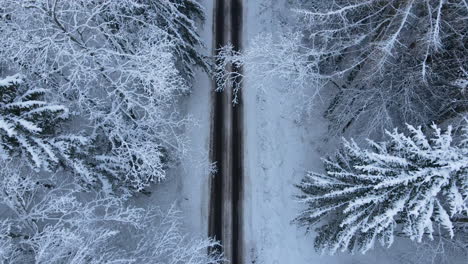 Luftaufnahme-Der-Asphaltstraße-Mit-Schneebedeckten-Bäumen-Im-Winter-In-Der-Nähe-Des-Dorfes-Deby-In-Polen