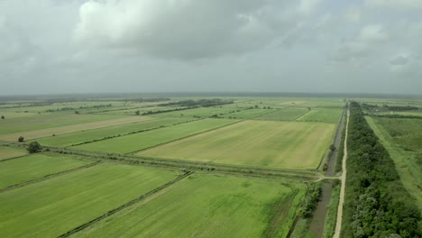 Landwirtschaft-Ackerland-In-Südamerika,-Auswirkungen-Auf-Die-Abholzung-Des-Dschungels,-Luftbild