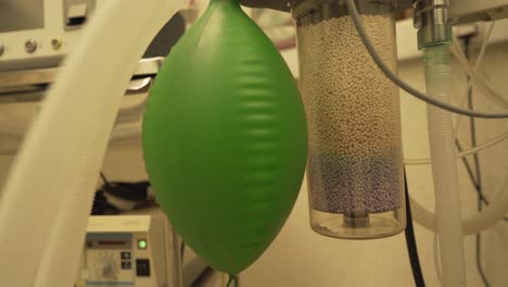 Green-rubber-anesthetic-machine-reservioir-bag-for-manual-ventilation-of-patients-with-coronavirus-in-intensive-care-unit-hospital