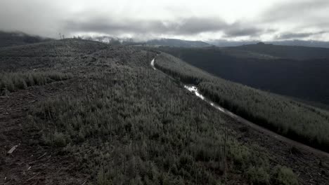 Storm-clouds-hang-low-over-a-recently-clear-cut-and-replanted-forest-area,-aerial
