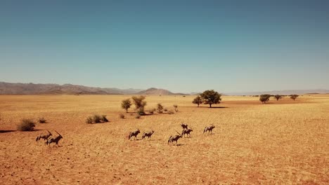 Namibia-Kalahari-Desert-in-Africa