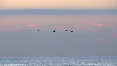 Basstölpel-Seevögel,-Die-Unter-Einem-Lila-Nachthimmel-über-Die-Wellen-Fliegen---Pfanne