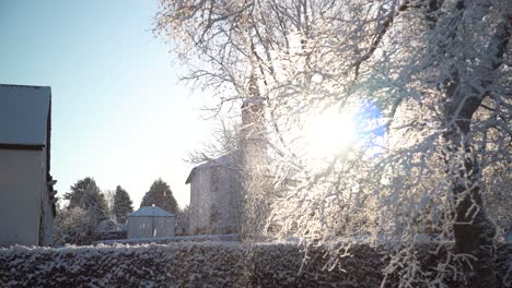 Close-up-on-snowy-tree's-with-lens-flare-through-distant-tree