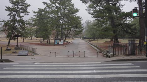 Nara-park,-usually-busy-with-tourists,-empty-after-pandemic-lockdown,-Pan-Shot