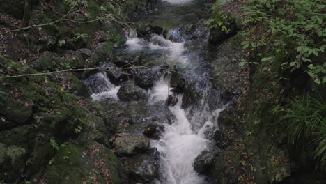 Flowing-Streams-Over-Mossy-Rocks-On-Mountain-Forest-Near-Town-Of-Okutama,-Japan