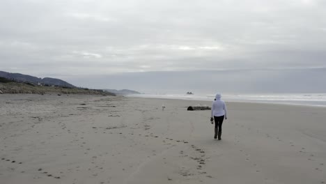 Female-walking-on-beach-alone,-with-dog,-low-angle-aerial-view