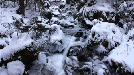 Tilt-up-camera-move-from-looking-down-at-a-creek-flowing-past-ice-and-snow-covered-rocks-and-trees-to-a-view-of-the-creek-as-it-flows-through-a-snowy-forest-near-Girwood-Alaska
