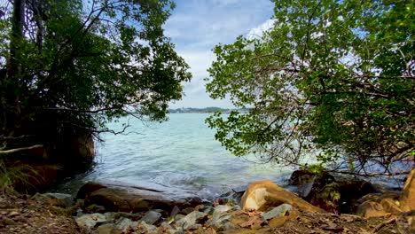 Malerischer-Blick-Auf-Die-Feuchtgebiete-Von-Tanjong-Check-Java-Auf-Tile-Island,-Festland-Von-Singapur