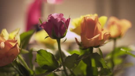 Shallow-Depth-of-Field-on-a-Bunch-of-Colourful-Roses